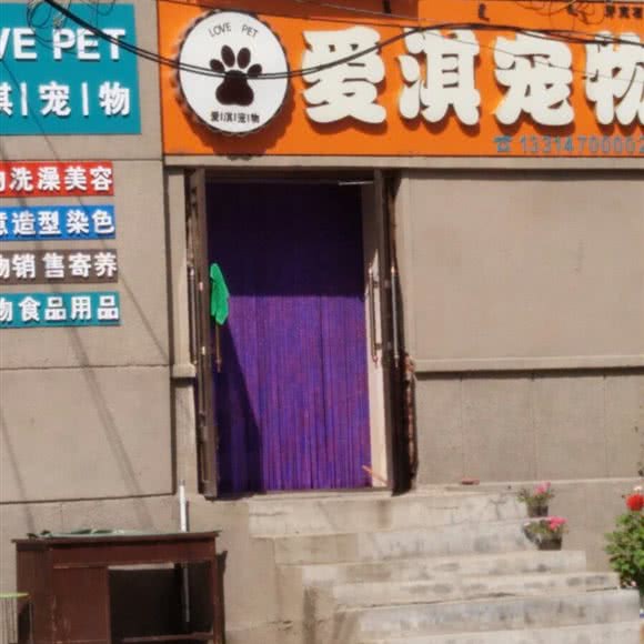 爱淇宠物:呼伦贝尔市牙克石市