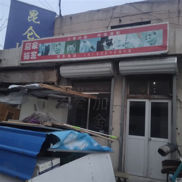 爱家猫舍:廊坊市广阳区万达附近