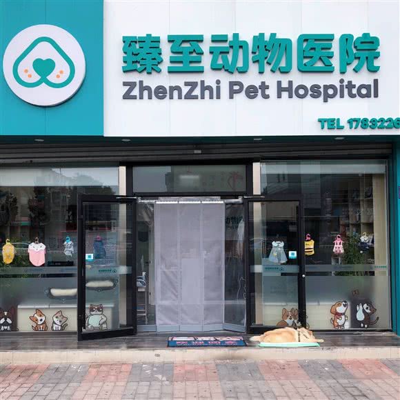 臻至动物医院:廊坊市广阳区万达附近