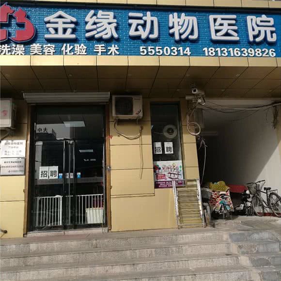 金缘动物医院:廊坊市广阳区万达附近