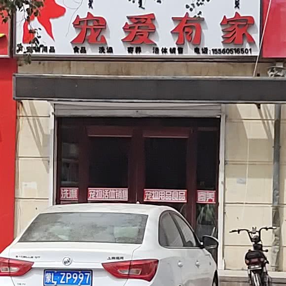 宠爱有家:巴彦淖尔市临河区