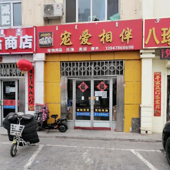 宠爱相伴:巴彦淖尔市临河区