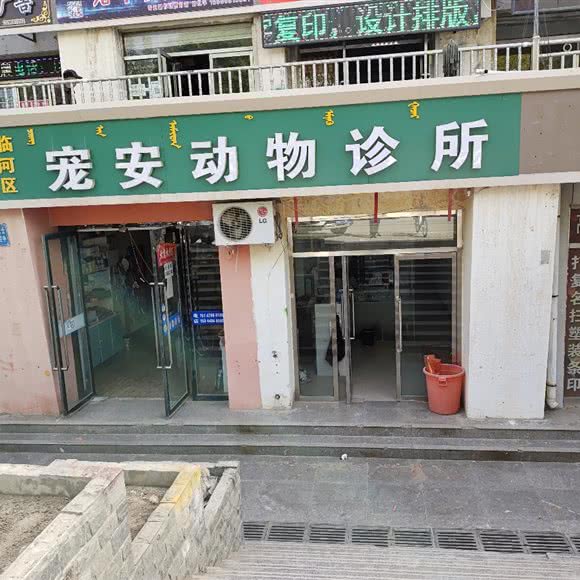 宠安动物诊所:巴彦淖尔市临河区