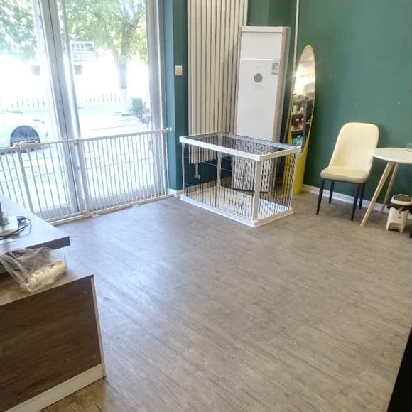 小跟班宠物SPA洗护:廊坊市广阳区新朝阳附近