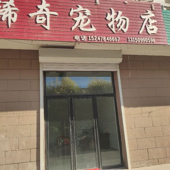稀奇宠物店:巴彦淖尔市五原县