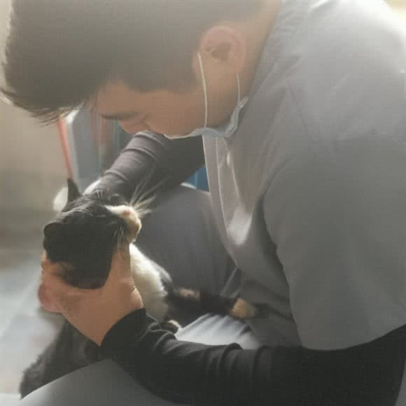 本然动物医院:廊坊市广阳区新朝阳附近