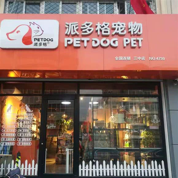 派多格宠物狗:廊坊市广阳区新源天街附近