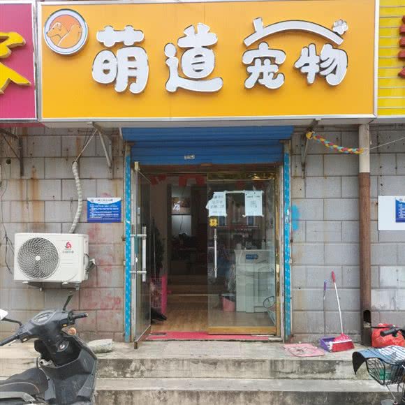 萌道宠物:廊坊市广阳区新源天街附近