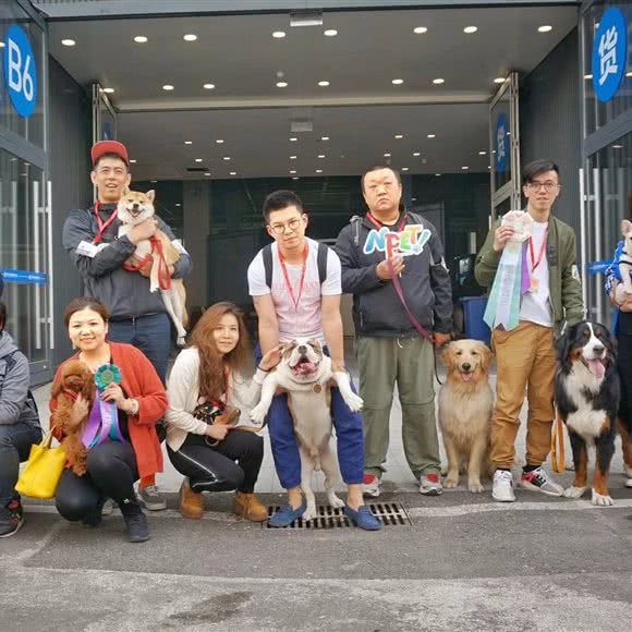 壹恩宠宠物行为训练:北京城区朝阳区北苑家园附近