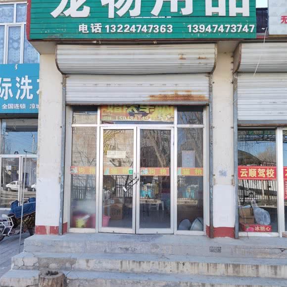 宠物用品:乌兰察布市凉城县