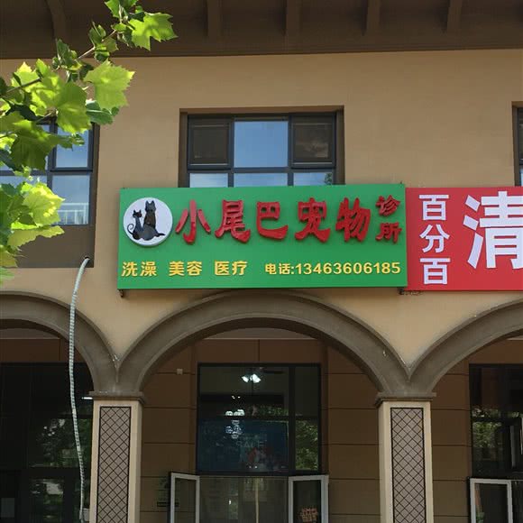 小尾巴宠物诊所:廊坊市广阳区开发区附近