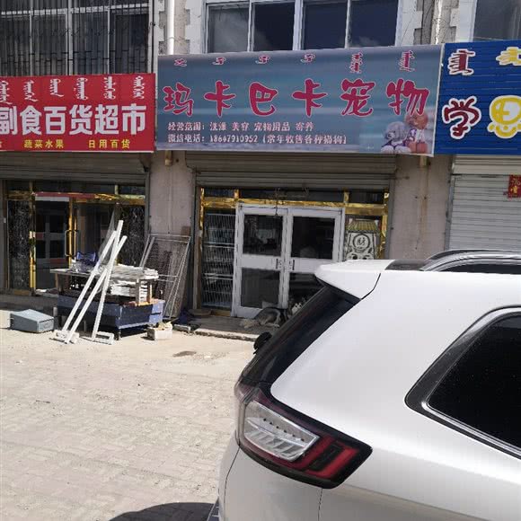 玛卡巴卡宠物:锡林郭勒盟锡林浩特市