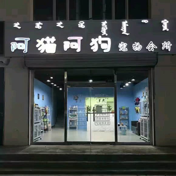 锡林浩特市阿猫阿狗宠物会所:锡林郭勒盟锡林浩特市