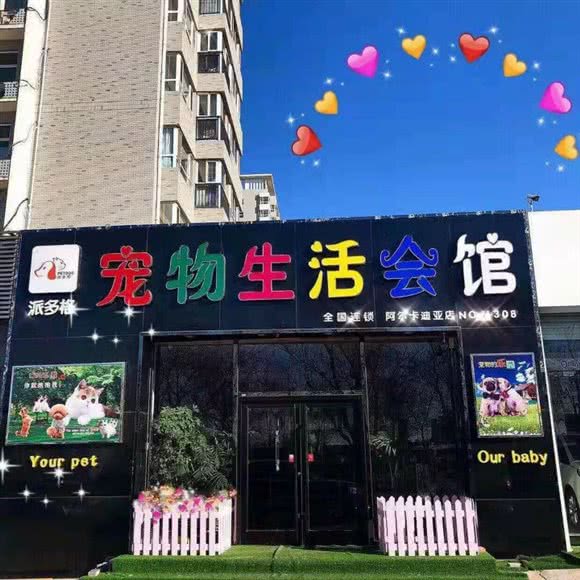 派多格宠物生活会馆(阿尔卡迪亚店):廊坊市广阳区阿尔卡迪亚附近
