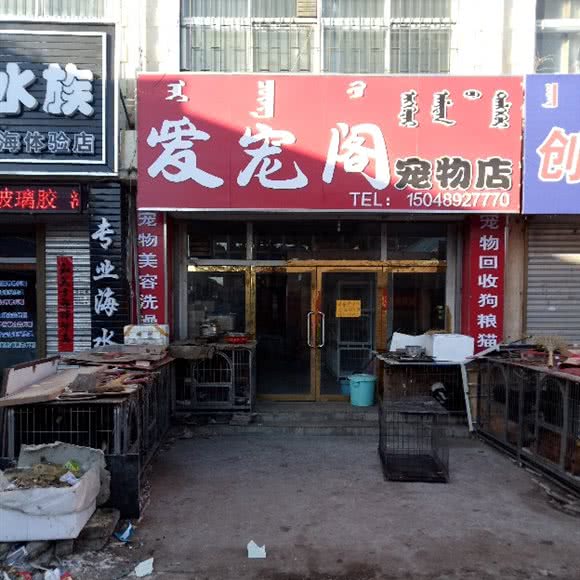 爱宠阁宠物店:锡林郭勒盟锡林浩特市