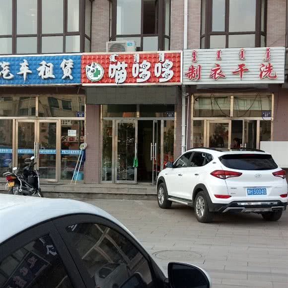 喵哆哆:锡林郭勒盟锡林浩特市