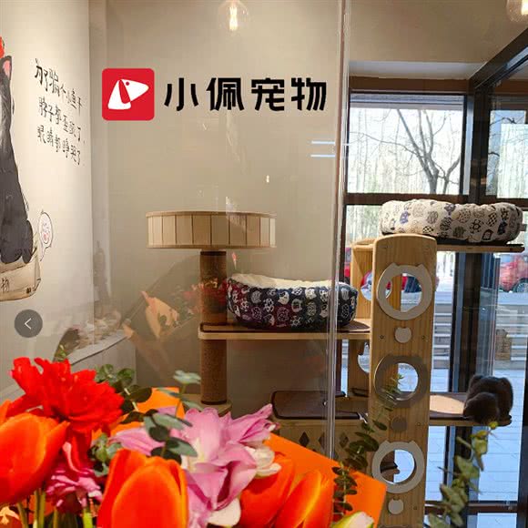小佩宠物(林奥嘉园店):北京城区朝阳区北苑家园附近