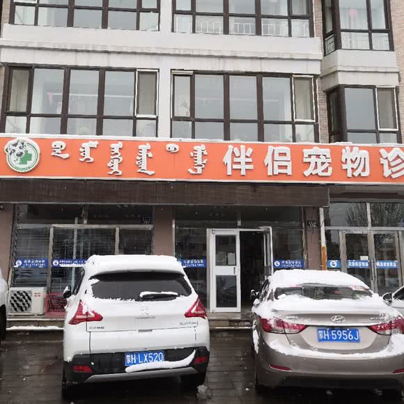 伴侣宠物诊所:锡林郭勒盟锡林浩特市