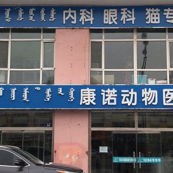 康诺动物医院:锡林郭勒盟锡林浩特市
