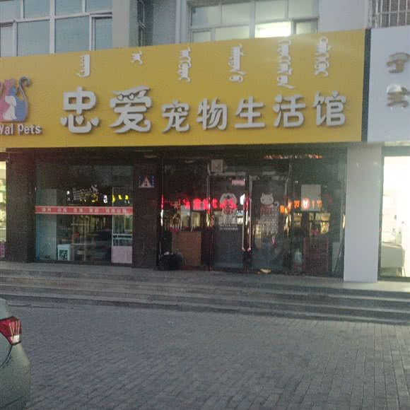忠爱宠物生活馆:阿拉善盟阿拉善左旗