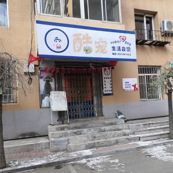 酷宠生活会馆:沈阳市沈河区