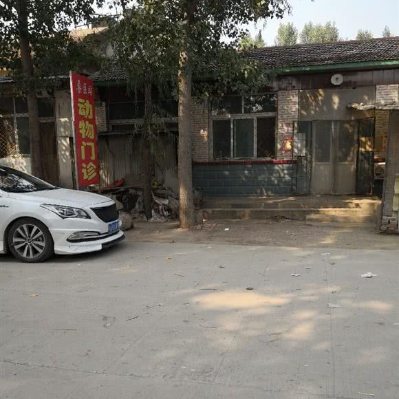 兽医站动物门诊:廊坊市广阳区万庄商圈附近