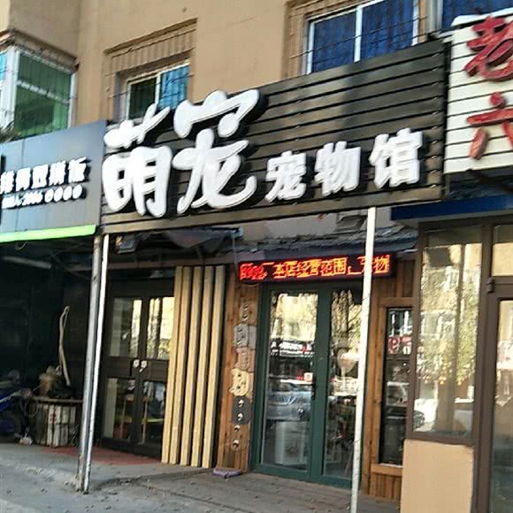 萌宠宠物馆:沈阳市大东区