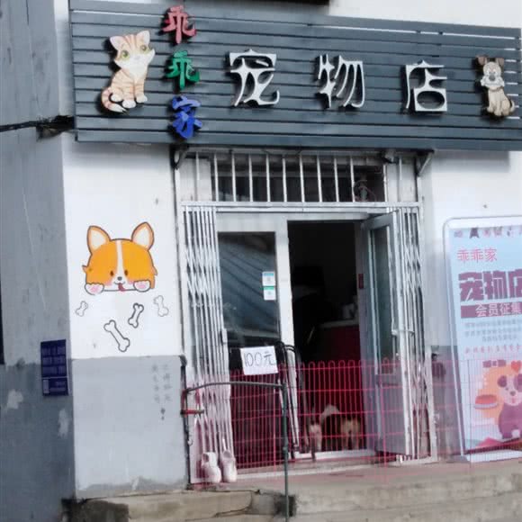 乖乖家宠物店:沈阳市皇姑区