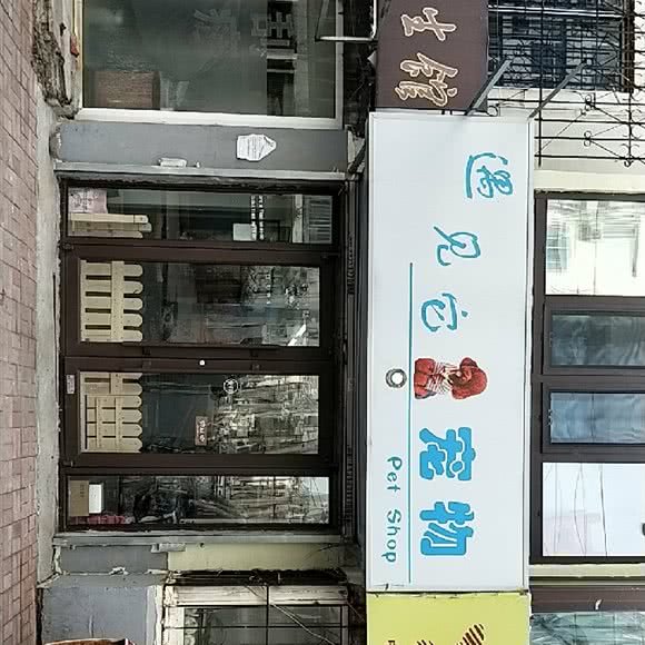 遇见它宠物店:沈阳市皇姑区