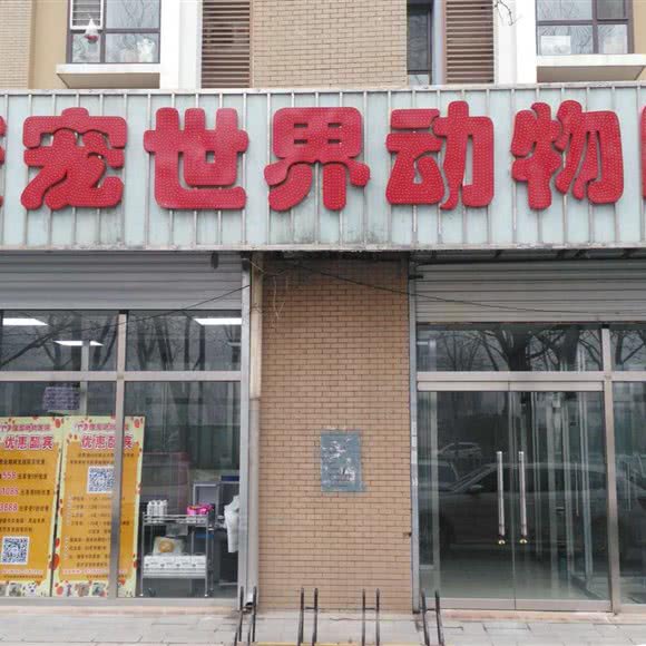 康宠动物医院:廊坊市广阳区广阳道附近