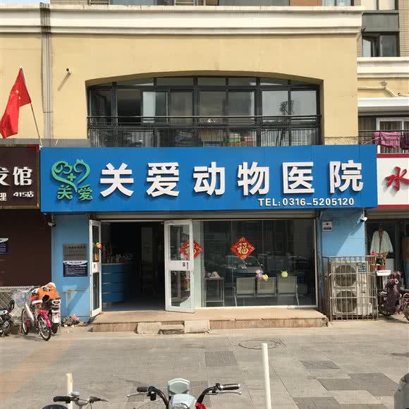关爱宠物医院:廊坊市广阳区广阳道附近