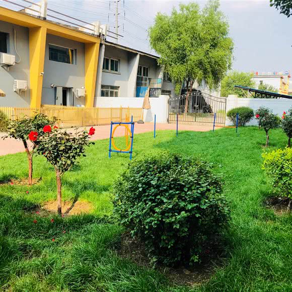 沈阳贝宠生活馆·宠物酒店:沈阳市铁西区