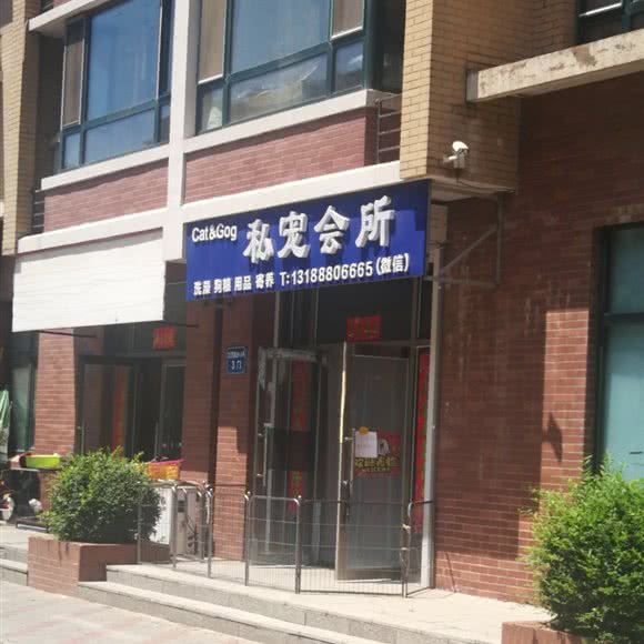 私宠会所:沈阳市铁西区