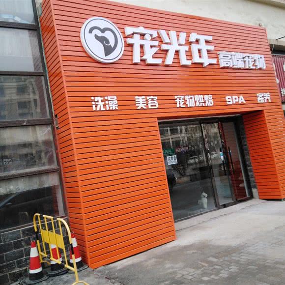 宠光年高端宠物:沈阳市铁西区
