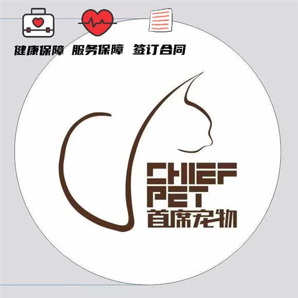 首席宠物狗?猫舍?犬舍:沈阳市铁西区