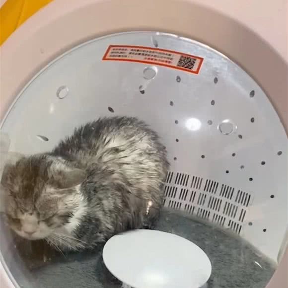 遇见宠物生活馆:沈阳市铁西区