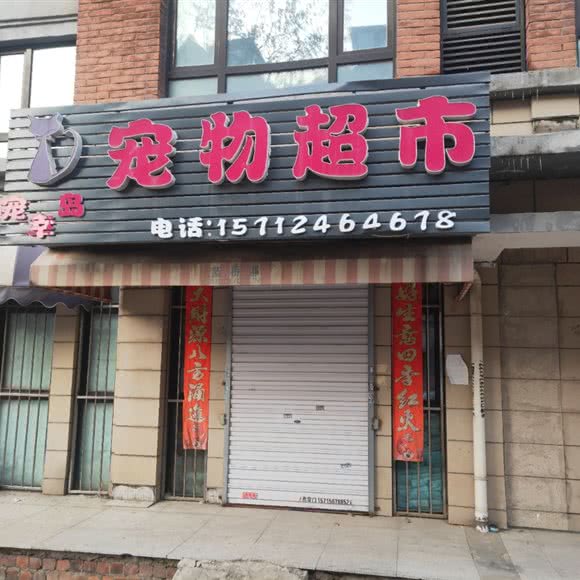 宠幸岛宠物超市:沈阳市铁西区