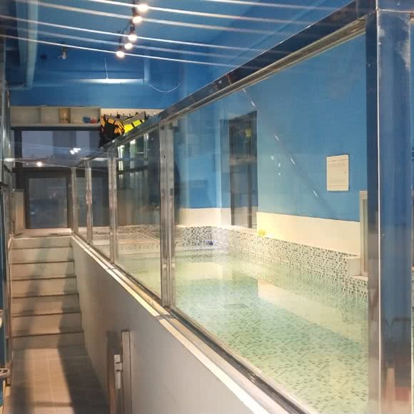 猫狗别墅宠物寄养:沈阳市苏家屯区