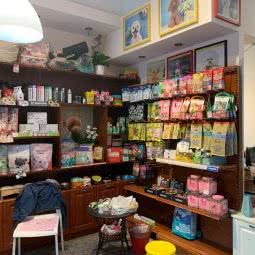 快乐星球宠物乐园:沈阳市浑南区