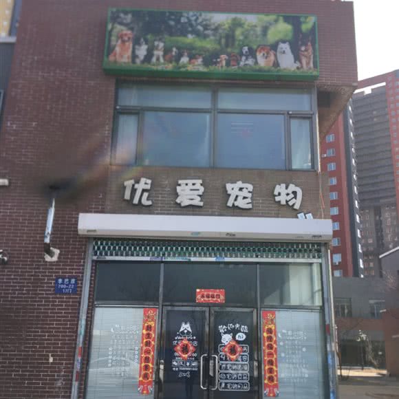 优爱宠物:沈阳市浑南区