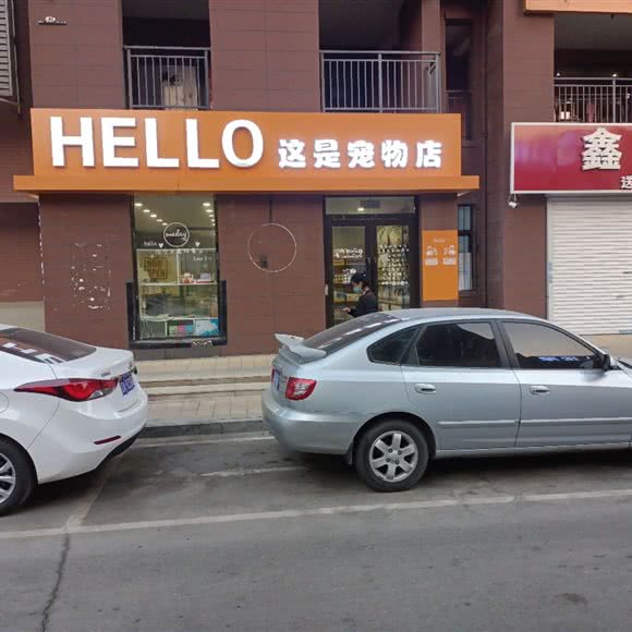 HELLO这是宠物店:沈阳市浑南区