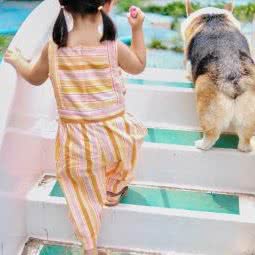 东源宠物乐园:沈阳市浑南区