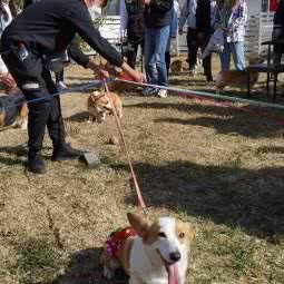 Mua宠物度假庄园:沈阳市浑南区