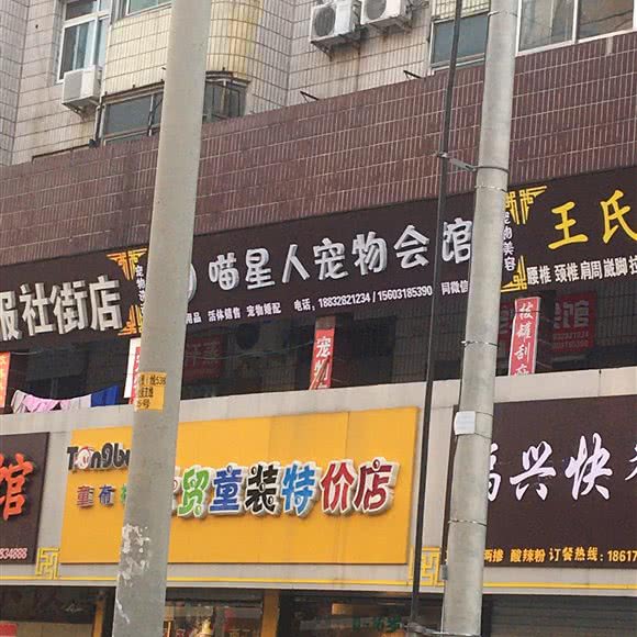 喵星人宠物会馆:衡水市桃城区百货大楼附近