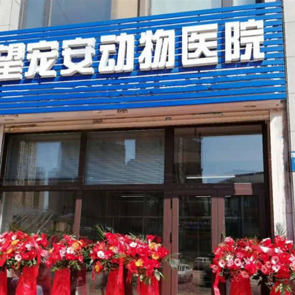 望宠安动物医院:沈阳市浑南区