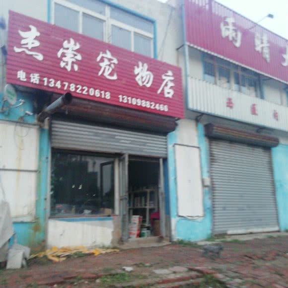 杰崇宠物店:沈阳市于洪区