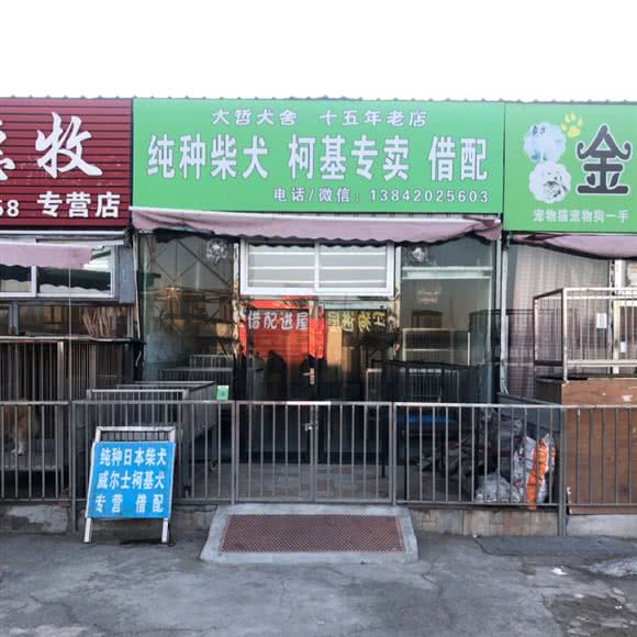 大哲犬舍:沈阳市于洪区