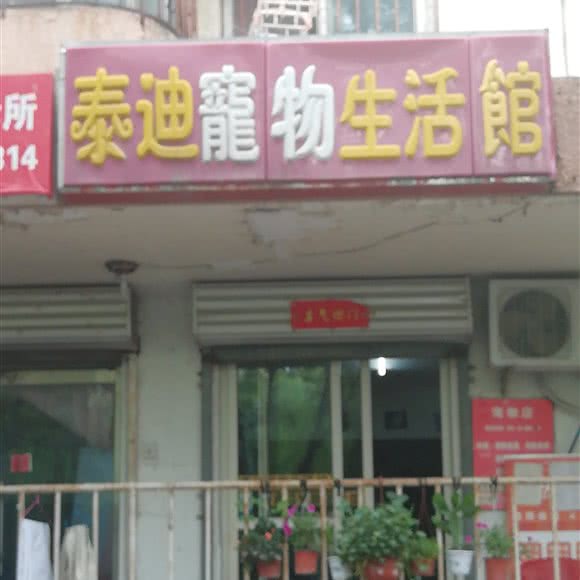 泰迪宠物生活馆:北京城区朝阳区北苑家园附近