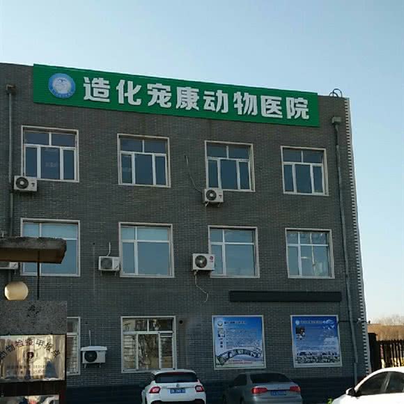 造化宠康动物医院:沈阳市于洪区