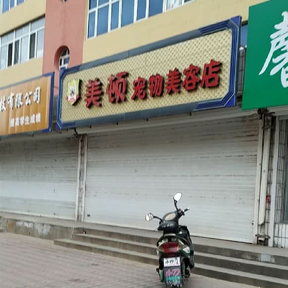 美顿宠物美容店:沈阳市辽中区